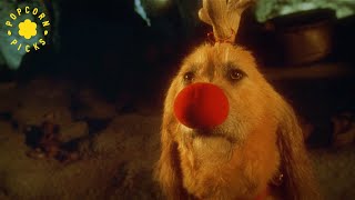 Max Turns Into a Reindeer | How The Grinch Stole Christmas