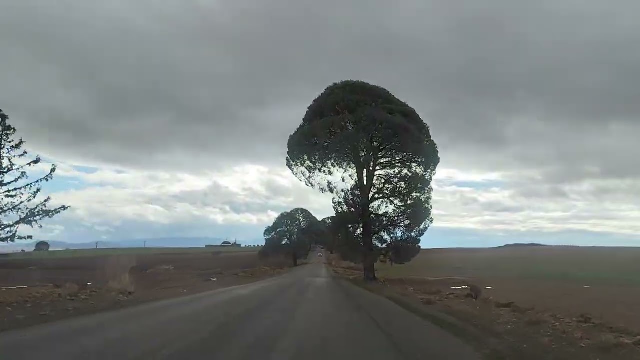 Sidi Ali Benyoub à Mezaourou BALADE