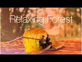 Relaxing Forest - Relaxing Ambient Music with natural sounds for Sleep &amp; Meditation.