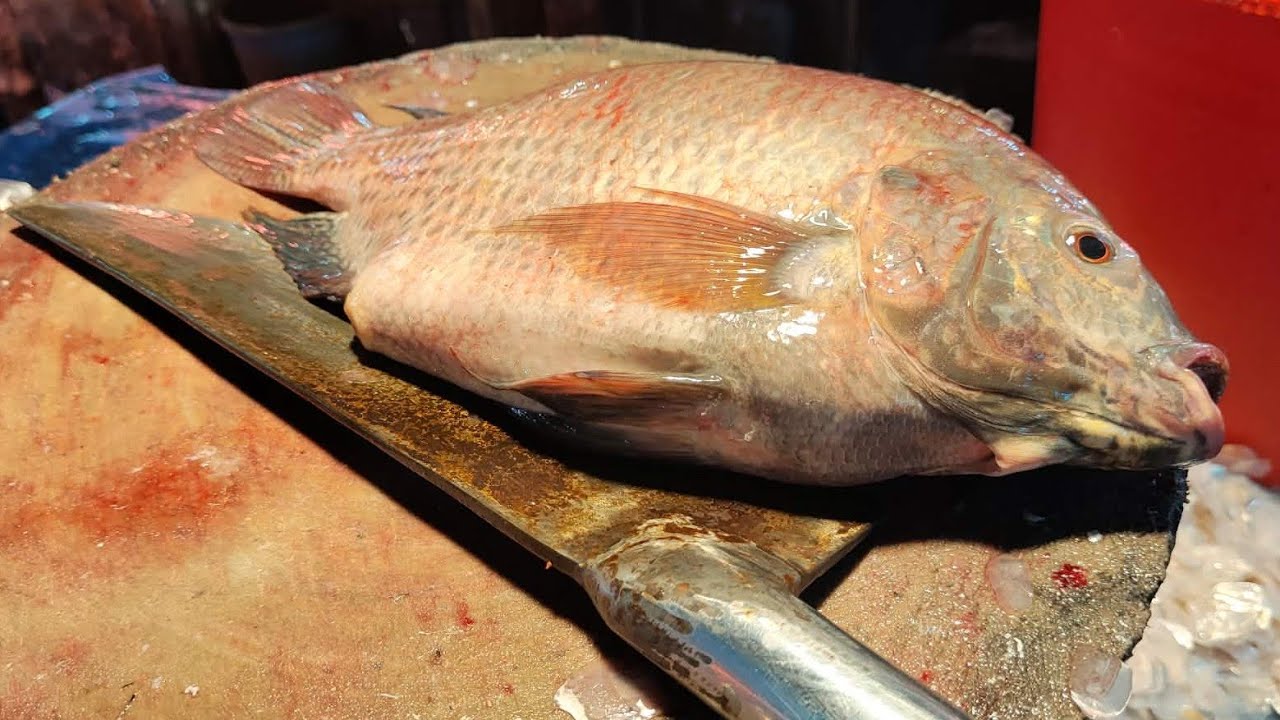 Amazing Tilapia fish cutting skill live Village Fishing  is live