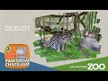 Ocelot