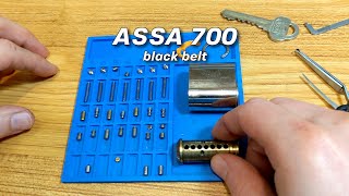 ASSA 700  black belt  pick & gut