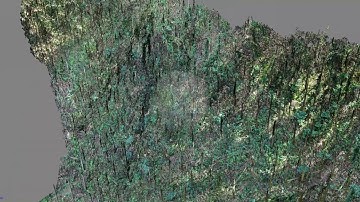 Point Cloud Data animation
