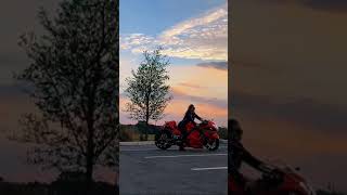 #LightRoseGold x Nina |  2008 Custom Suzuki Hayabusa #shorts
