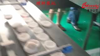 Cake (with plastic tray ) feed packaging line , Soft cake feeding packing line , screenshot 3