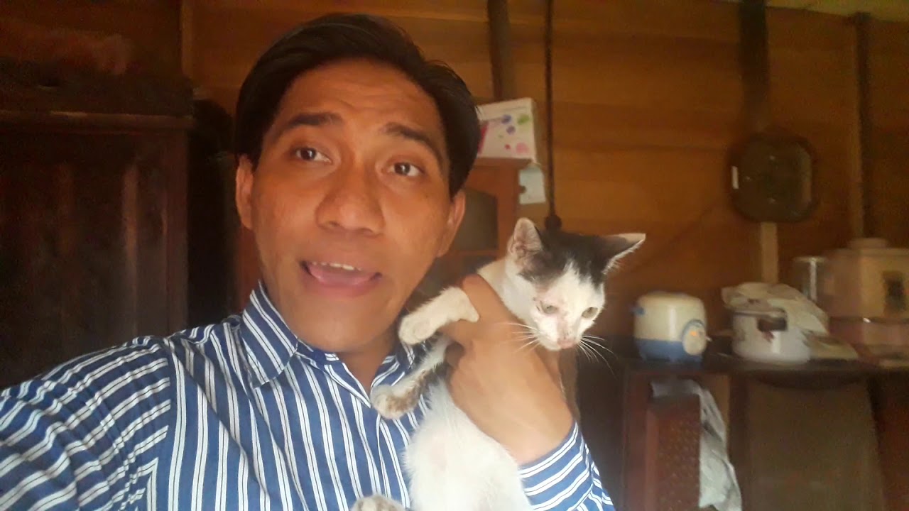 PULANG KERJA LANGSUNG NYARI ANAK KUCING KAMPUNG KU 