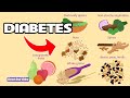 Low carbohydrate food list for diabetes