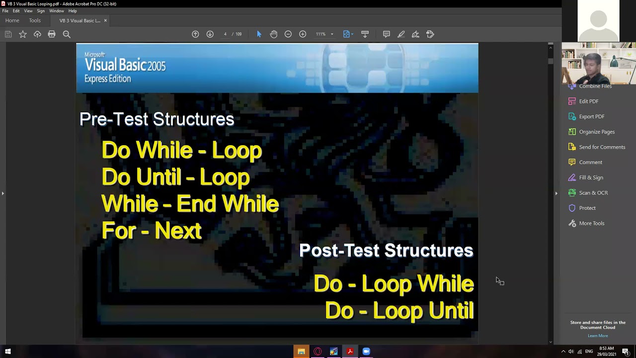 Visual basic looping - fancysno