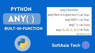 Famous (MM) Exploring Python's `any()` Function Profile
