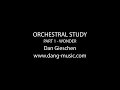 Orchestral study 1  wonder
