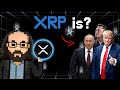 XRP Explained: Future of Global Payments or the Biggest Crypto Scam?