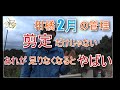 【剪定だけじゃない】柑橘2月の管理【2年に1度は入れてほしい資材】