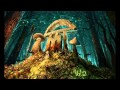 Infected mushroom  the french hq audio