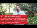 КУЛИНАРНЫЙ КАНАЛ: ИДЕОЛОГИЯ, ОТКРОВЕНИЕ, ТЕХНИКА, ЗВУК, СВЕТ