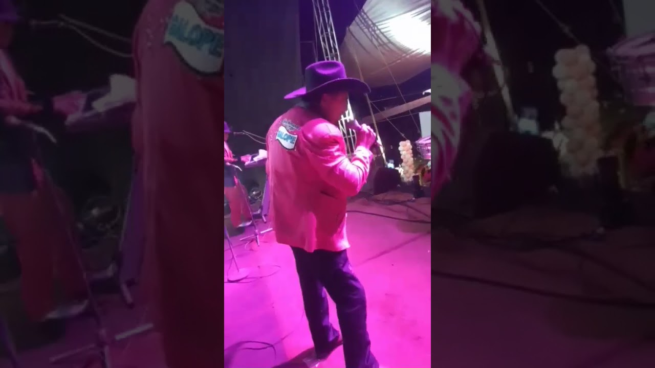 Popurri de rigo tovar en vivo don Celso Hernández y su grupo galope