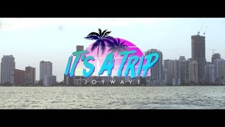 Joywave - It's A Trip! - (Official Video)
