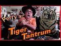 Perry caravellos heart attack tiger tantrum
