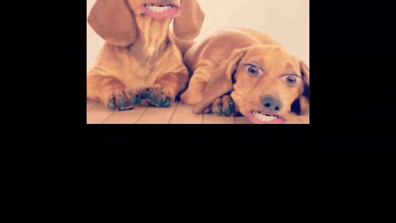 Trailer: Melting Mind Produced by Code Caliber