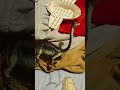 allosaurus vs shunosaurus #pong1977 #dinosaurshorts #vs #allosaurus #shunosaurus