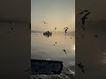 Saso Ki Mala Pe l Nusrat Fateh Ali Khan l Sad Status l nfak #nfs #sad #gazal #aesthetic #hindisong