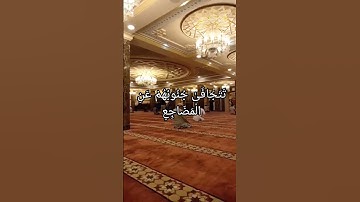 #قرآن #تتجافي جنوبهم عن المضاجع #اكسبلور #quran سورة السجده