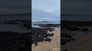 New Zealand | Milford Beach Auckland
New Zealand | Milford Beach Auckland New Zealand | Milford Beach Auckland