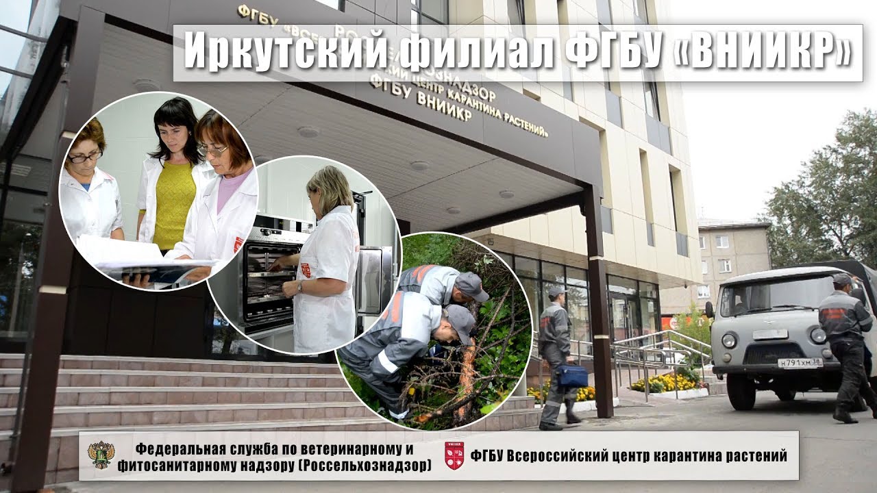 Фгбу автомобильный комбинат