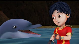 Dolfi स पहल मलकत Shiva क Shiva