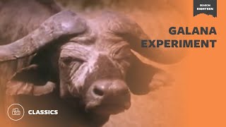 Galana Experiment | Mutual of Omaha&#39;s Wild Kingdom