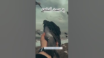 سورة الشمس بصوت القارئ الشيخ أحمد بن علي العجمي