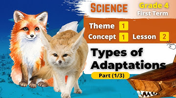 Types of Adaptations | Grade 4 | Unit 1 - Concept 1 - Lesson 2 - Part (1/3) | Science