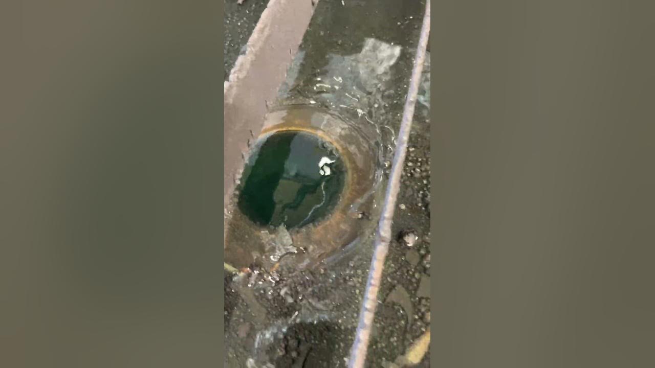 table drain and fill system YouTube