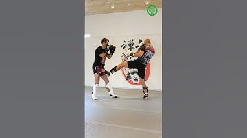 Muay Thai Disruptive Strikes with Greg Wootton