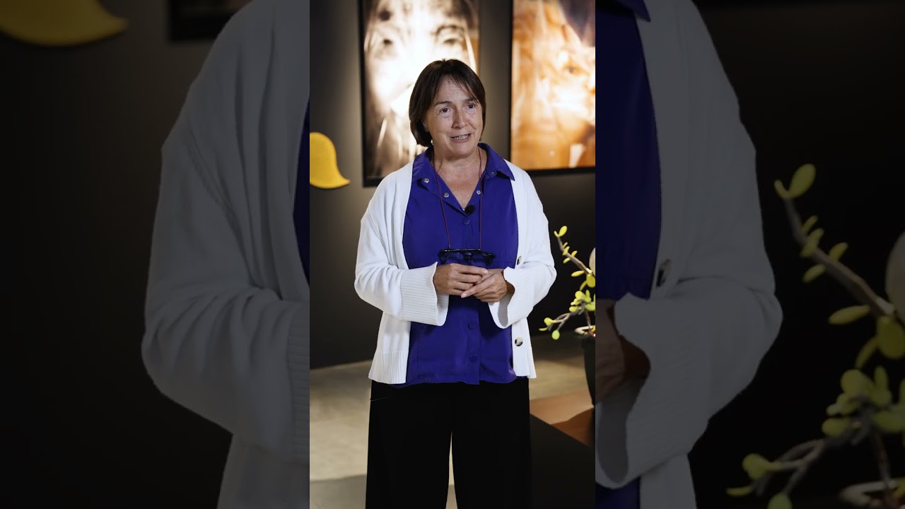 Vídeo resum de la inauguració 'Plàstic. Genial o pervers?' a la Sala Barcelona del Museu Terra