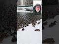 We Ukrainians and ducks will survive and vin!