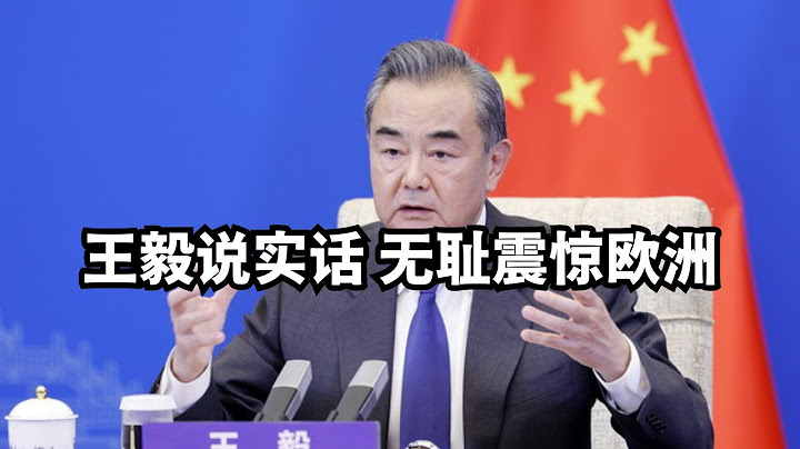 王毅说实话无耻震惊欧洲/直播精选
