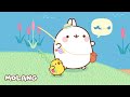 The Fishing Trip 🎣 Molang | Cry Babies and Friends in English | Animation and Cartoons