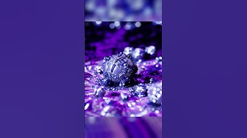 3D Fractal Worlds #fractals #mandelbulb