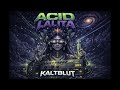 Acid Lalita #trance