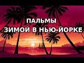 ПАЛЬМЫ 🌴 зимой в Нью-Йорке и чемодан от Lоuis Vuitton!