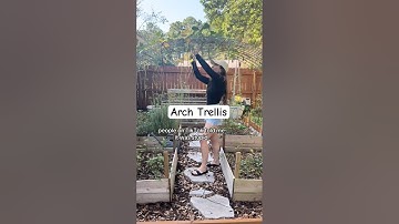 I love my mini arch trellis🪴👩‍🌾#gardendiy #diy #trellis