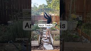 I Love My Mini Arch Trellis