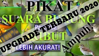 SUARA BURUNG RIBUT PART #02 || The sound of a bird of prey is very powerful 2020 NEW