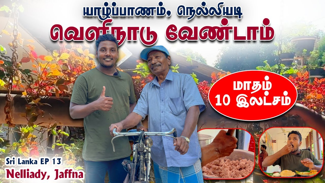 வெளிநாடு வேண்டாம் இங்கு வாழுங்கள் 😱 Garden Tour 😍 Nelliady | Pavaneesan