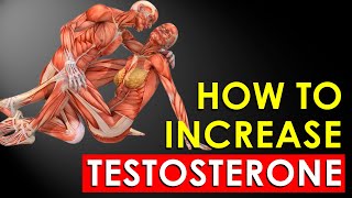 How to Quickly Increase Testosterone Levels in the Body