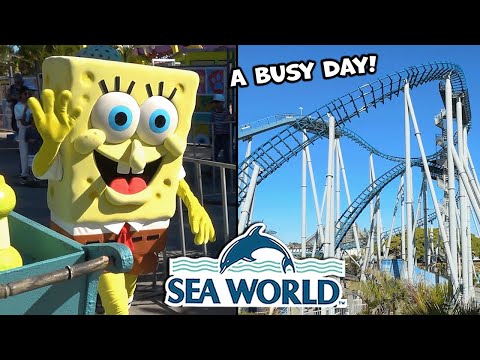 Sea World Gold Coast | July 2024 Park Visit &amp; Update! | Theme Park Video