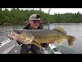 Top 3 biggest walleyes caught in tournaments compilation