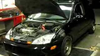 SVT FOCUS on the dyno