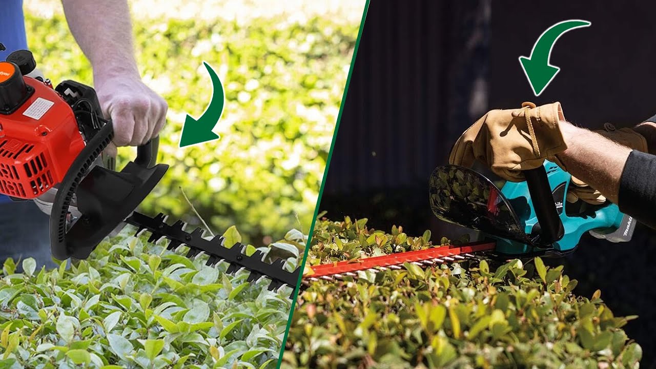 Gas vs Electric Hedge Trimmer Which is Right for Your Garden? YouTube