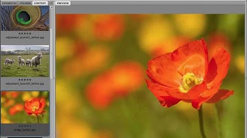 An introduction to Adobe Bridge